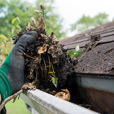 Gutter Cleaning