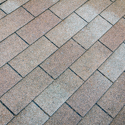 Roof Cleaning